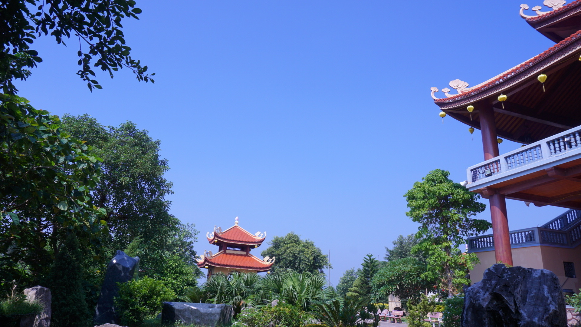 Nông Đình Quyến