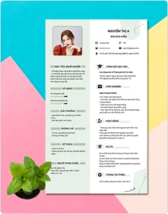 CV - hồ sơ xin việc