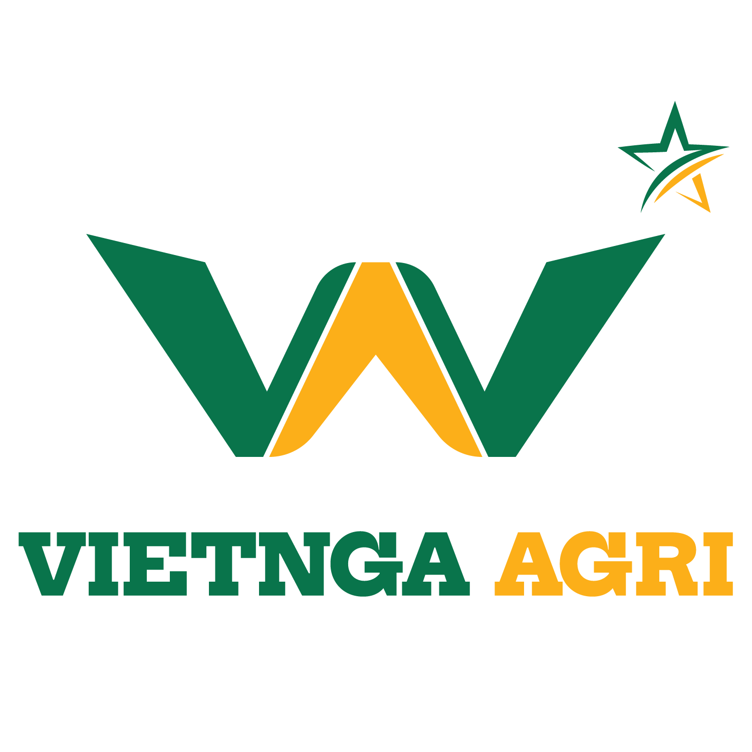 Công ty Cổ phần Tập đoàn Việt Nga