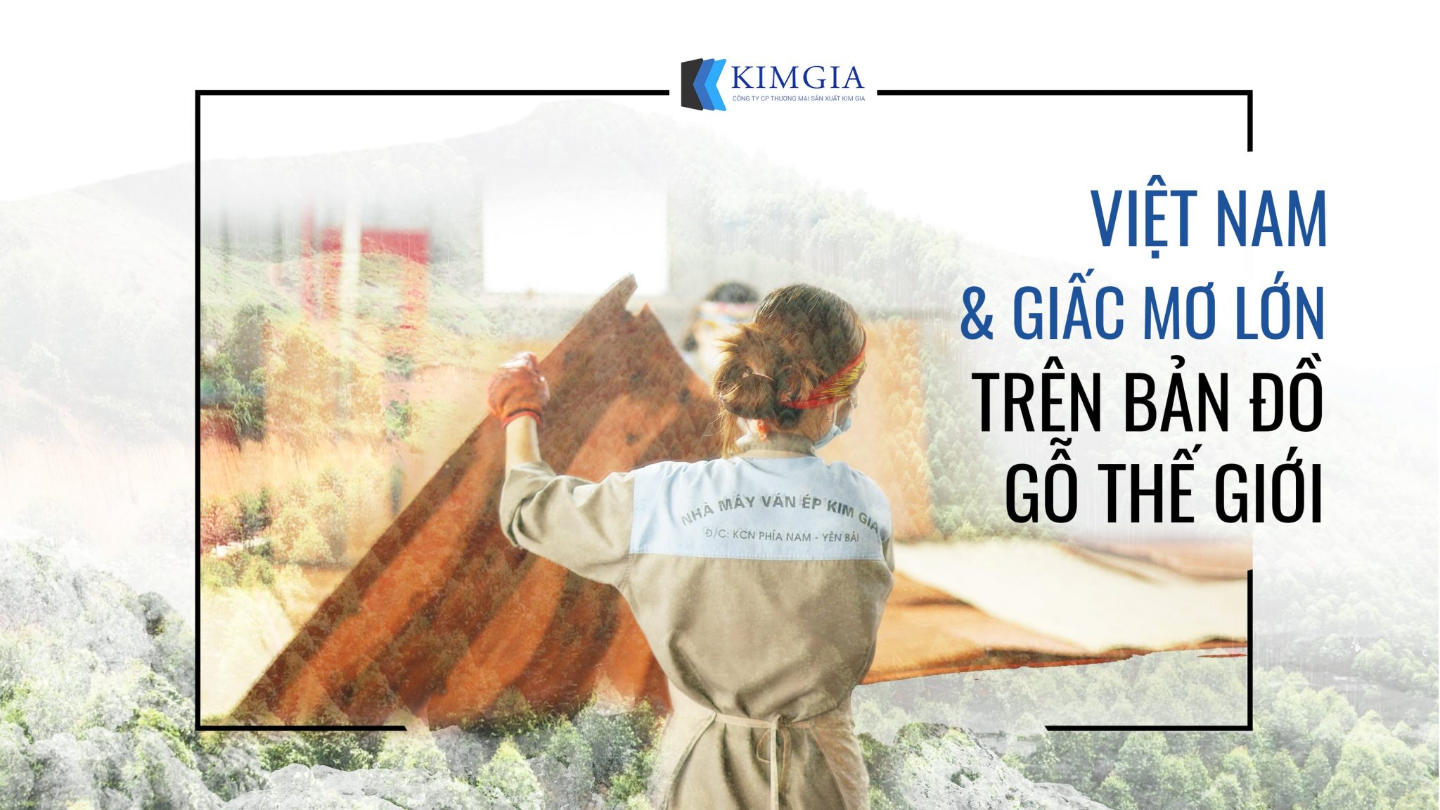 Công ty CPTMSX Kim Gia