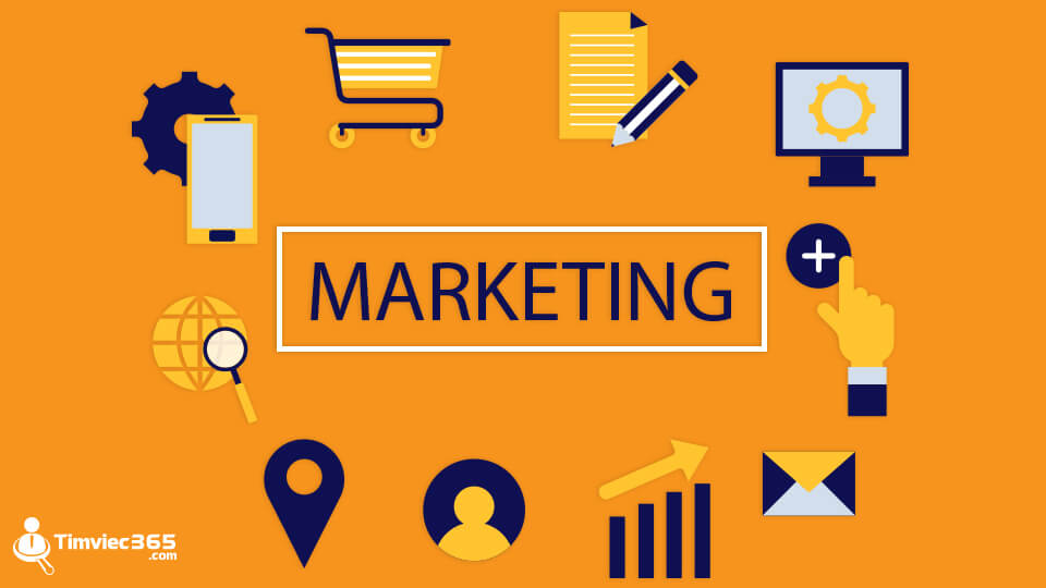 Cần có kiến thức chuyên môn