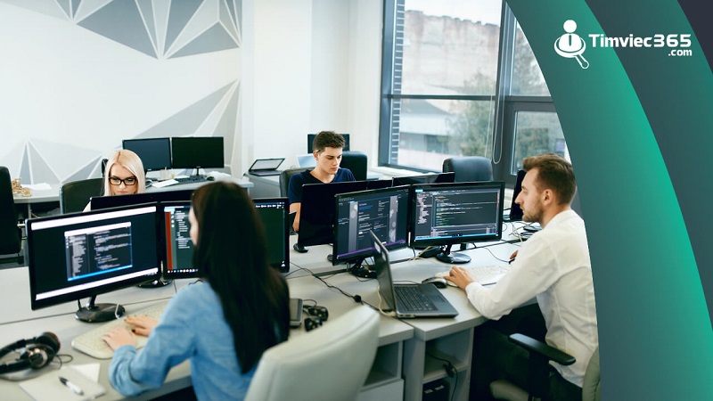 Đưa những thông tin đắt giá vào mục trình độ học vấn