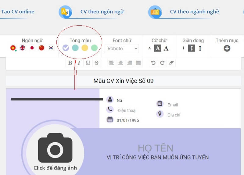 CV kế toán theo mẫu 09