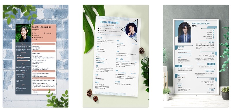 CV xin việc tiếng Hàn