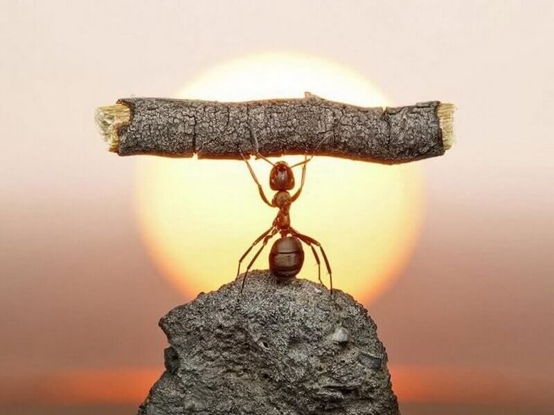 Hãy kiên trì và thật mạnh mẽ