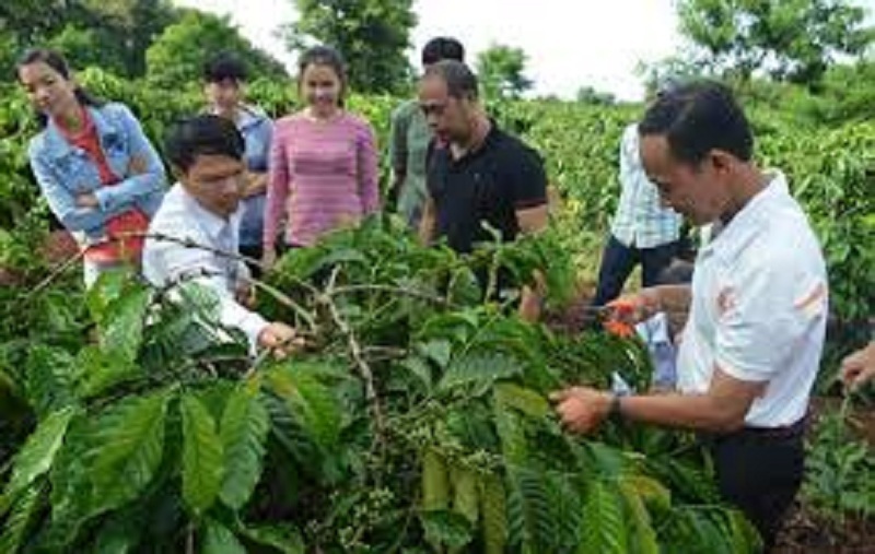 Khuyến nông là gì