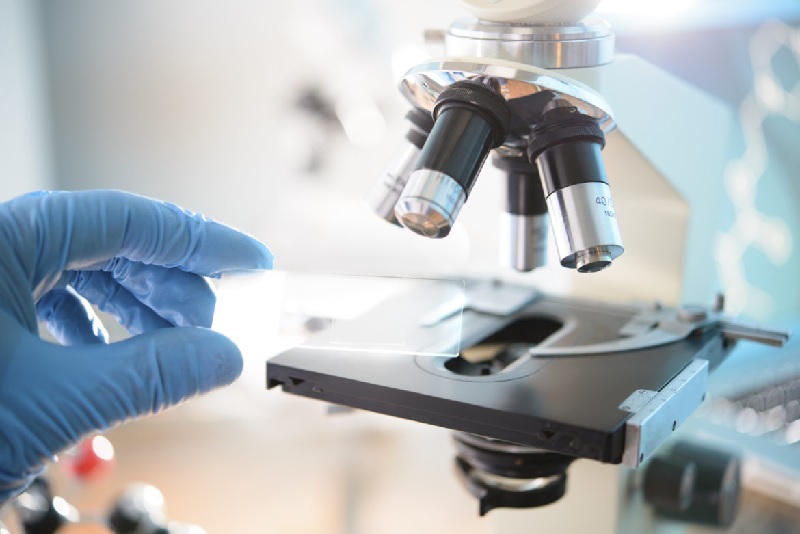 Vị trí nghề nghiệp ổn định