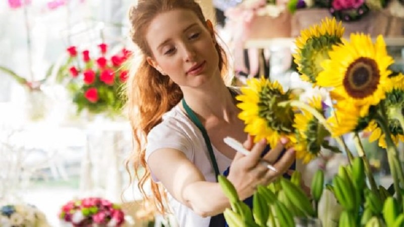 Am hiểu về các loài hoa tươi