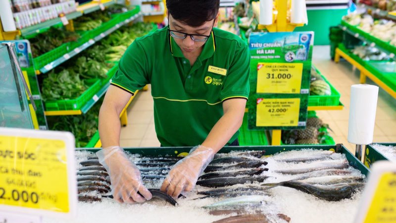 Mô hình chiến lược kinh doanh