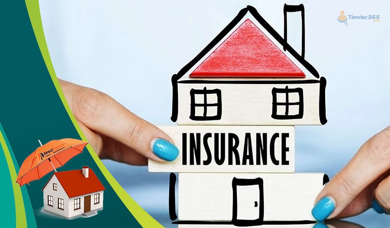 Làm việc tại các doanh nghiệp bảo hiểm hay quỹ đầu tư