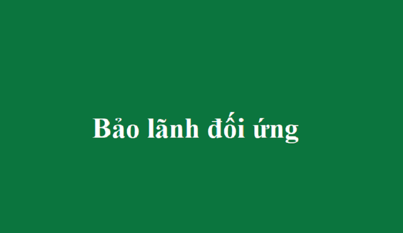 Định nghĩa chung cho bảo lãnh đối ứng là gì?