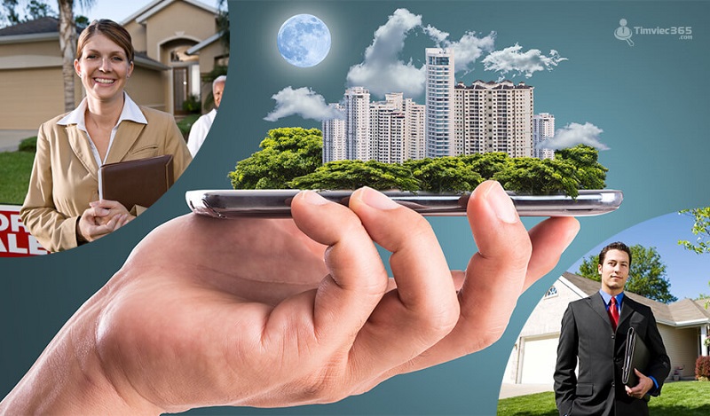 Lĩnh vực bất động sản