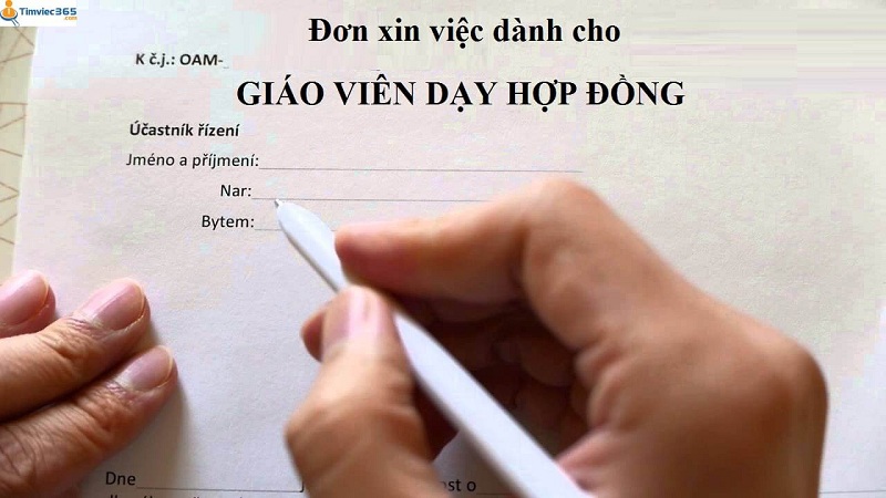 Tìm hiểu thông tin về Đơn xin việc giáo viên hợp đồng
