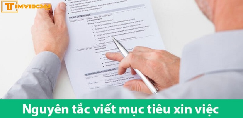 Ba nguyên tắc vàng tạo nên một Career Objective trong CV tiếng Anh ấn tượng