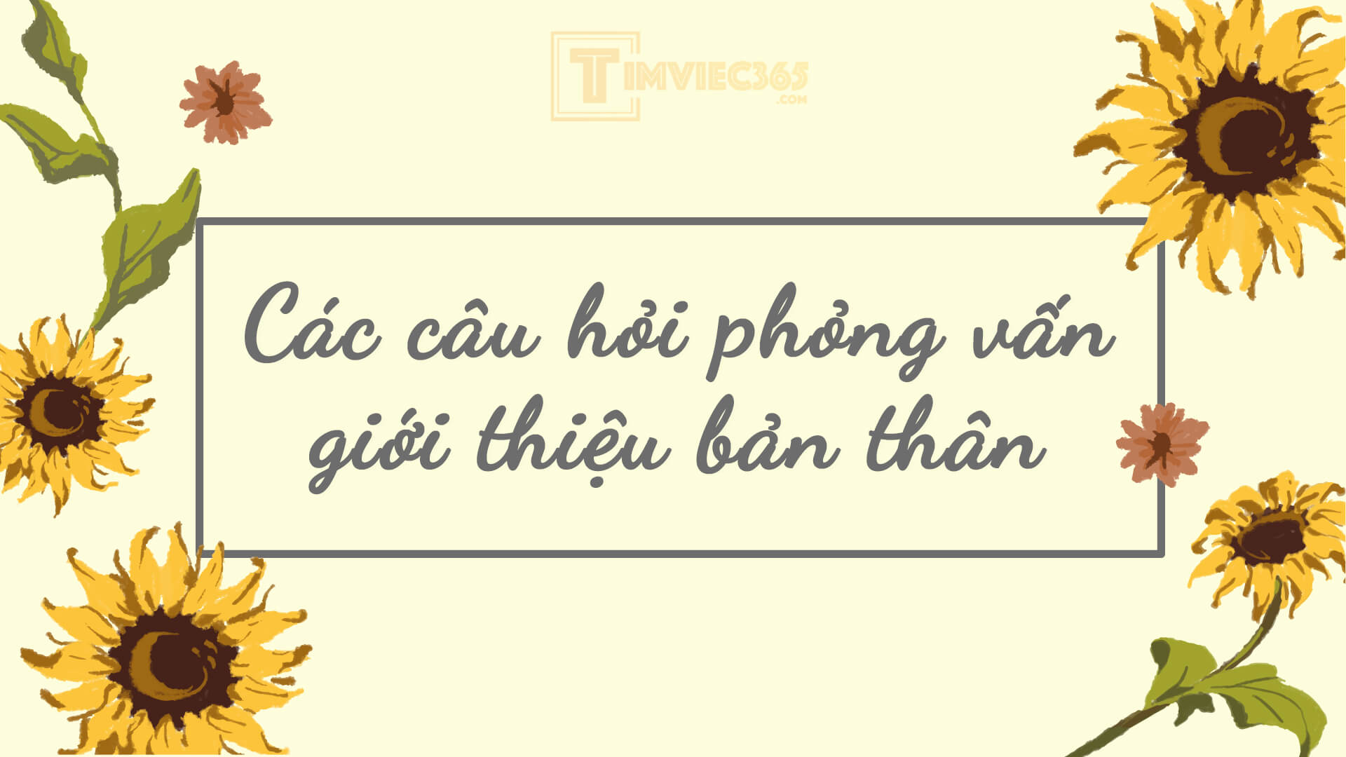 Các câu hỏi phỏng vấn giới thiệu bản thân