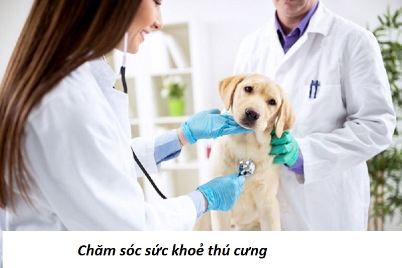 Chăm sóc sức khoẻ thú cưng