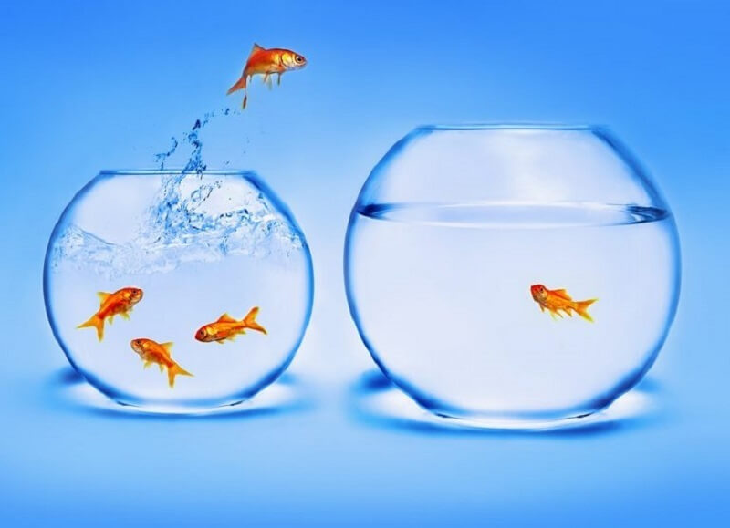 Hé mở khái niệm về chiến lược đại dương xanh