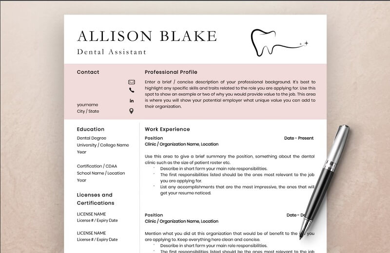 Mẫu CV xin việc nha khoa phong cách chỉn chu