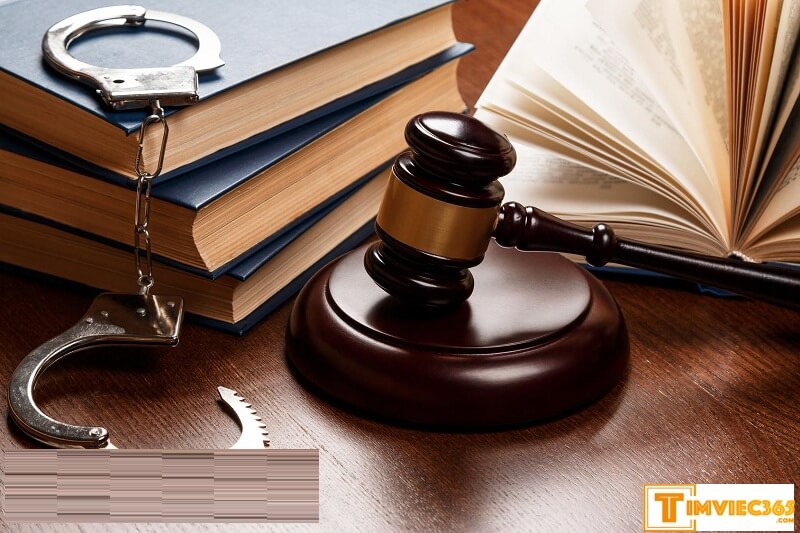 Chức năng tố tụng hình sự là gì?