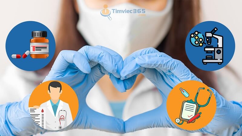 Điều kiện về lý lịch, hồ sơ ứng viên