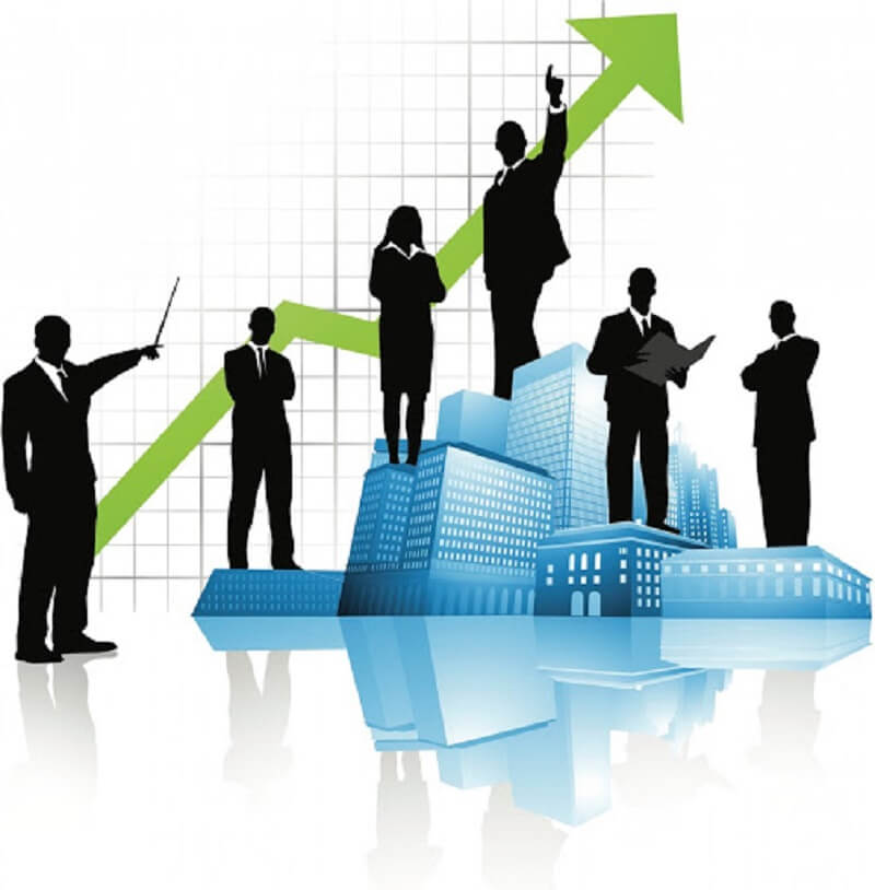 Những cơ hội phát triển việc làm của ngành là gì?