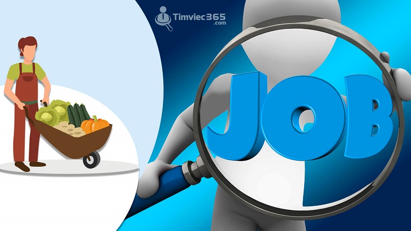 Bạn nên gửi đơn xin việc của mình vào thứ Ba, thứ Tư và thứ Năm