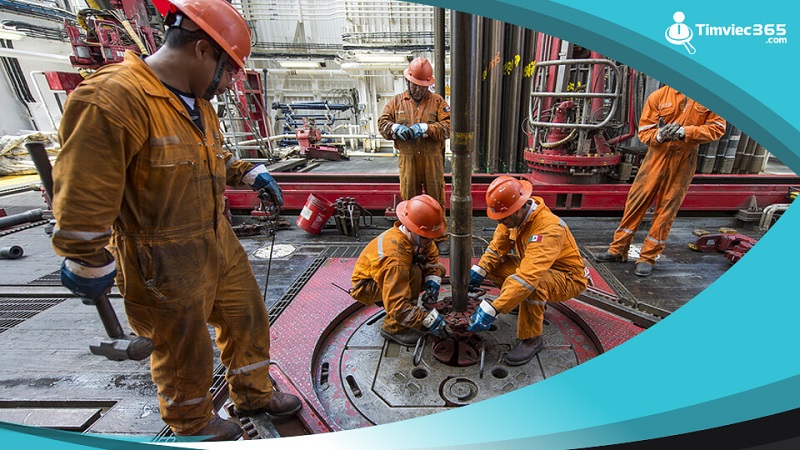 Công việc của các nhà địa chất tương lai