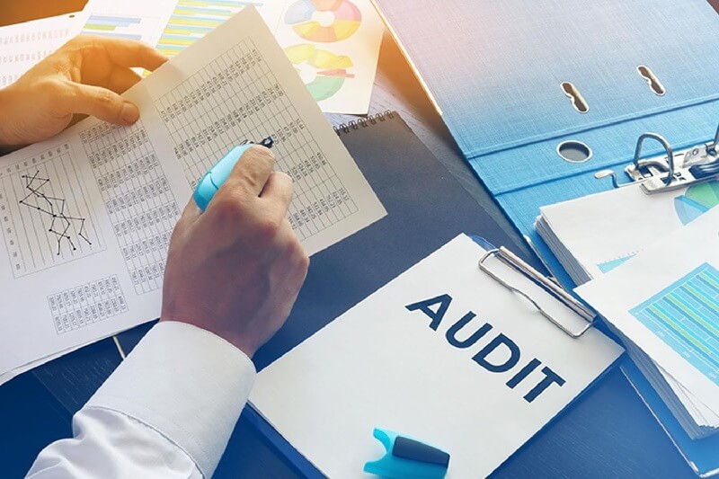 CV Audit với những kỹ năng ấn tượng 