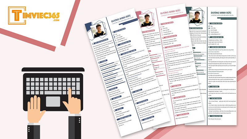 Những điều cần thiết của CV cho người chưa có kinh nghiệm