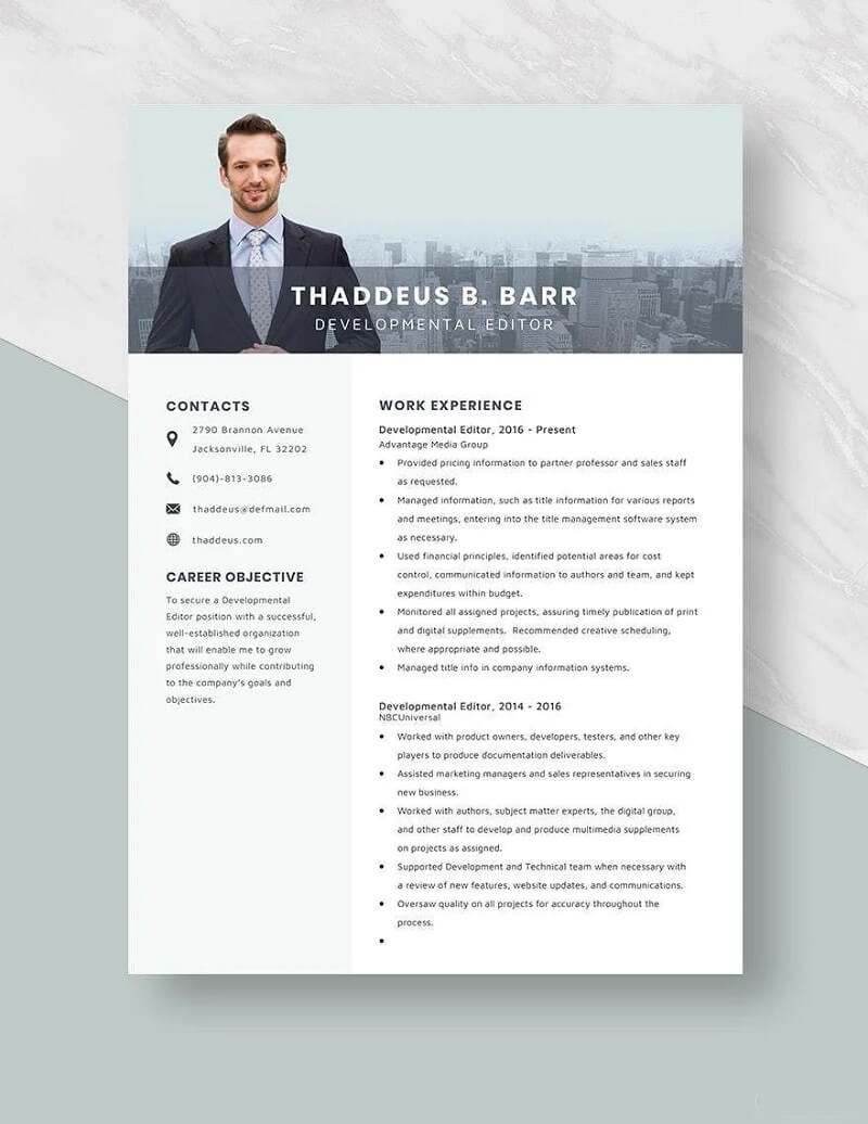 CV Developmental Editor