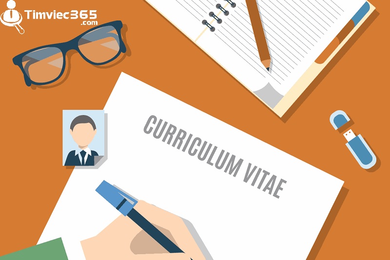 Cách bước để sử dụng mẫu CV English teacher