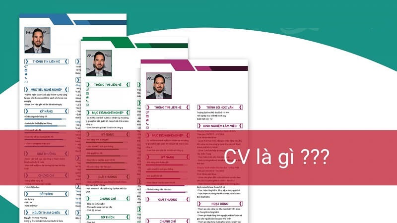 Vai trò quan trọng của CV giao thông/vận tải/cầu đường