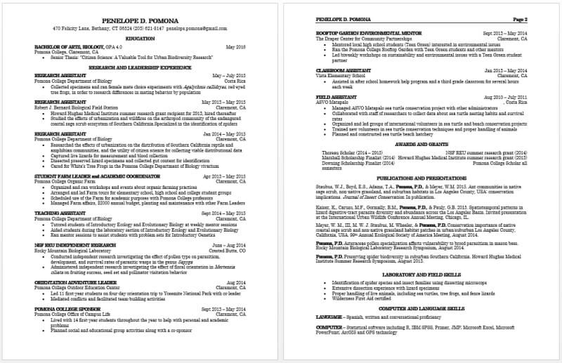 cv mẫu xin việc hoàn chỉnh file word