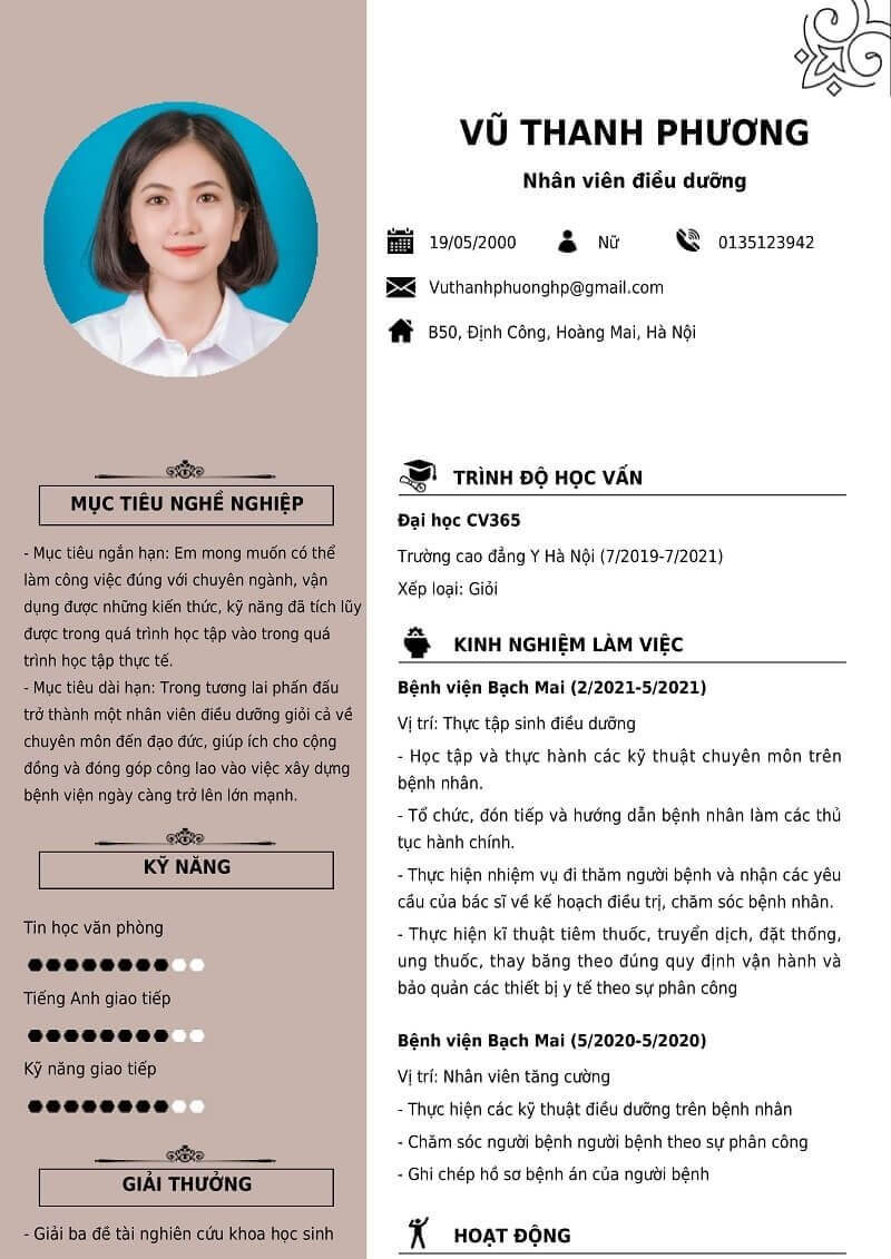 Mẫu CV xin việc điều dưỡng ấn tượng số 2