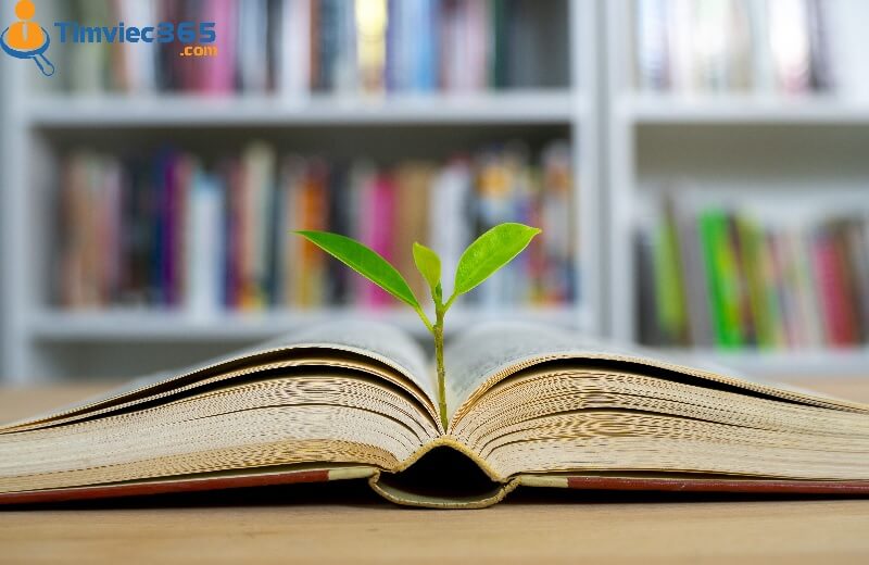 CV xin việc giáo viên tiếng Nhật cùng một vài mẹo