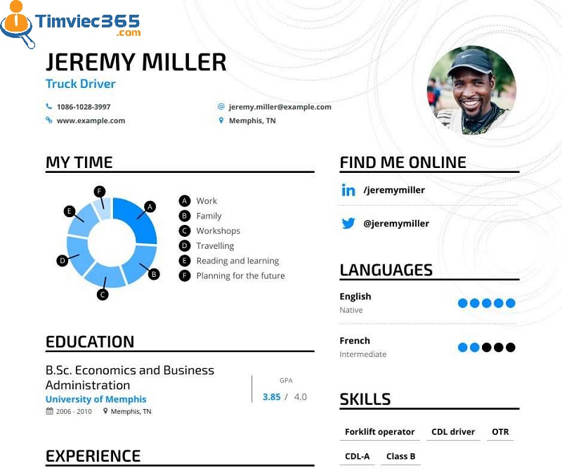 Thiết kế trình bày của CV 