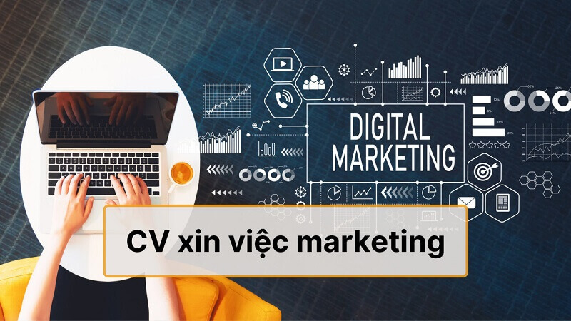 CV xin việc ngành marketing