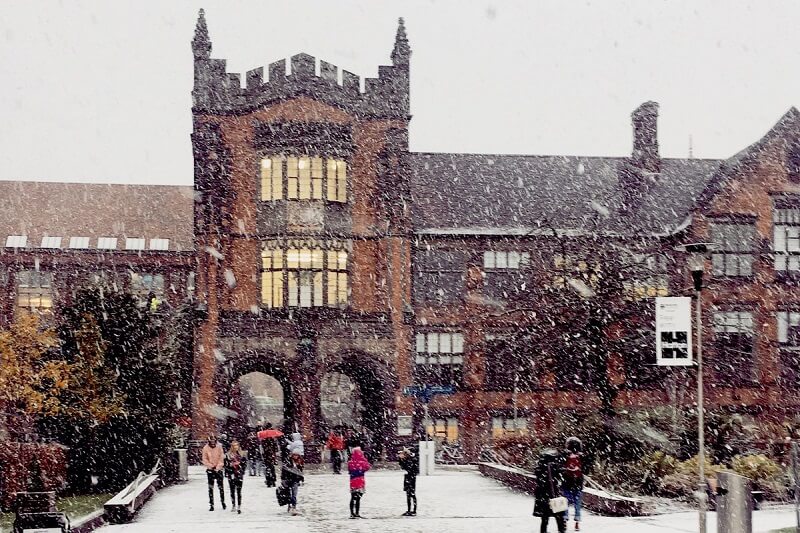 Chương trình đào tạo