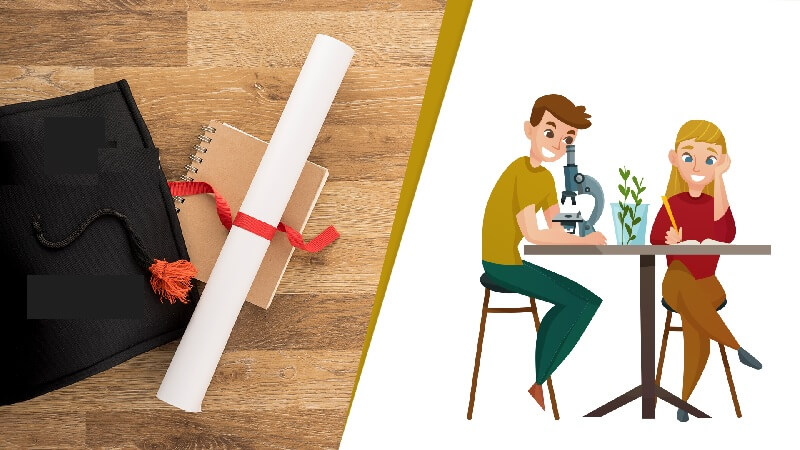 Nền tảng về chương trình đào tạo “không thiếu”, gì cũng có