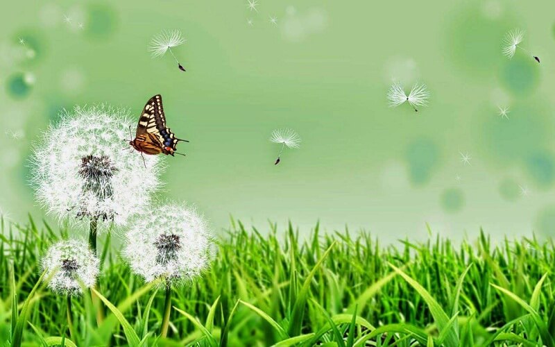 Lẽ sống đến từ những điều bình dị, giản đơn nhất