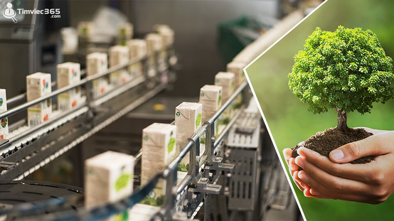 Quy trình cơ bản in offset 