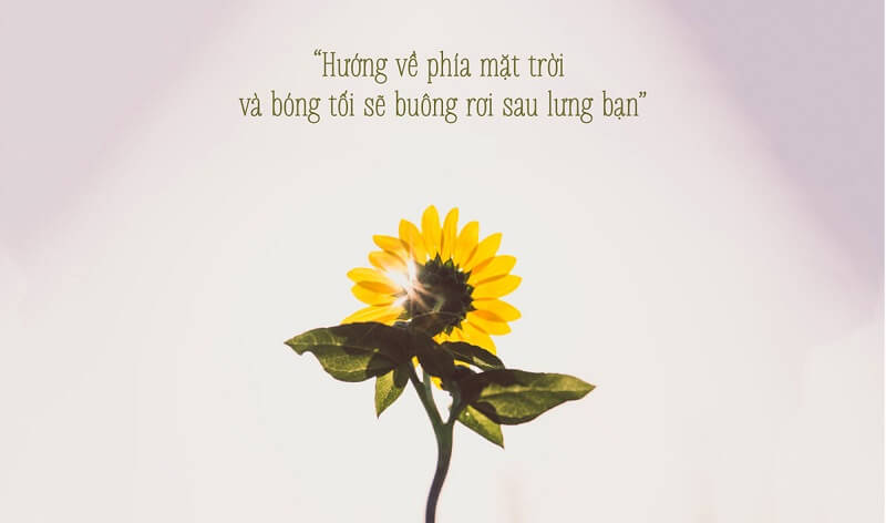 Định nghĩa thành công, có thể bạn chưa rõ