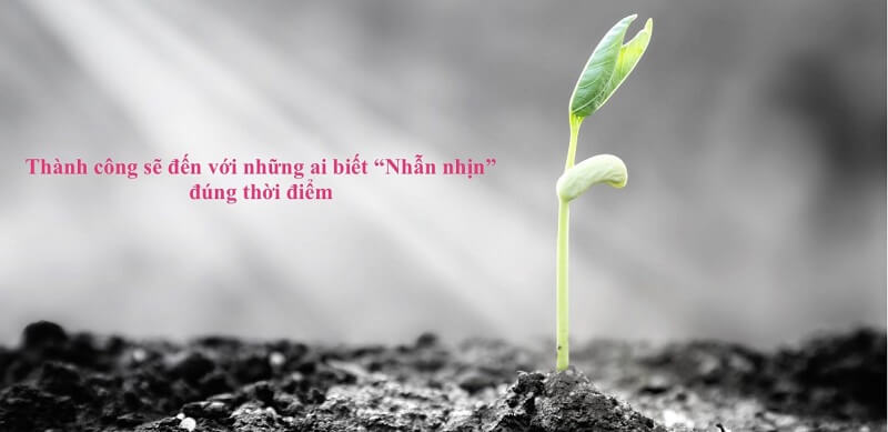 Họ luôn đầu tư đúng đắn