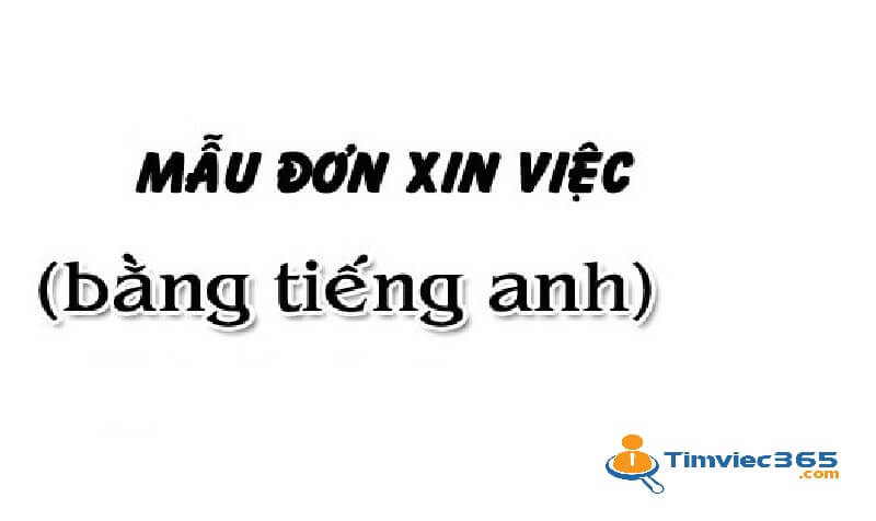 Xác định mục đích chính khi viết đơn xin việc bằng tiếng Anh