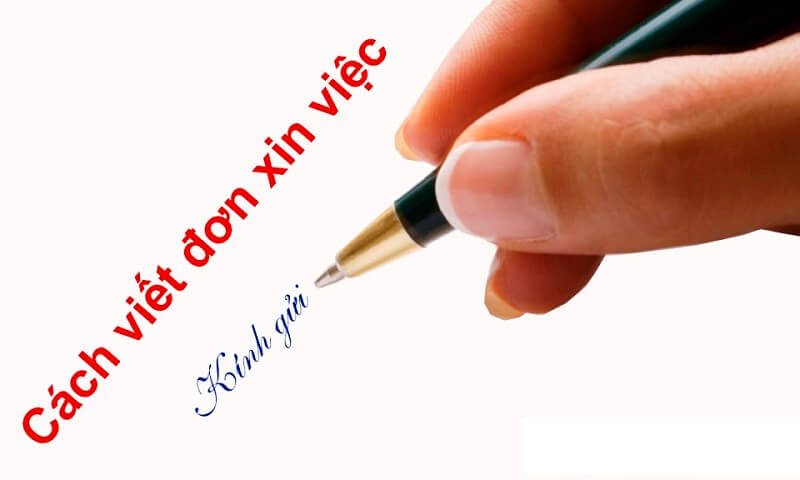 Tải đơn xin việc du lịch ở đâu?