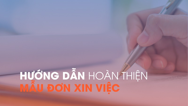 Tải đơn xin việc giáo viên ở đâu?