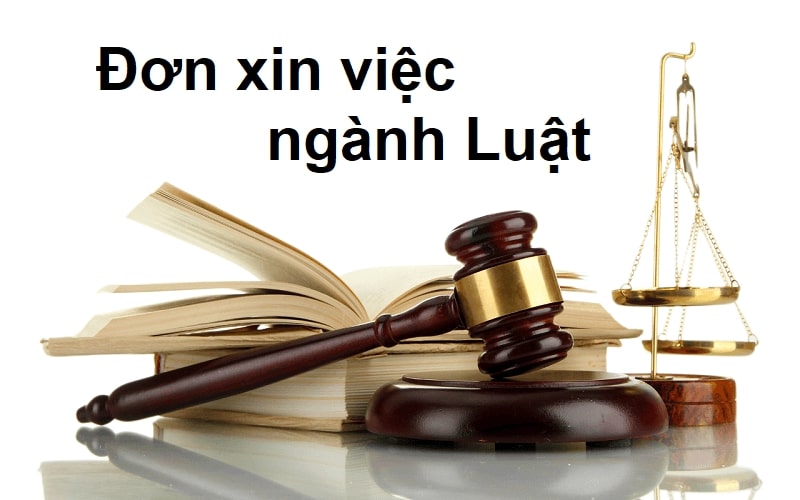Khái quát chung về đơn xin việc ngành luật hiện nay