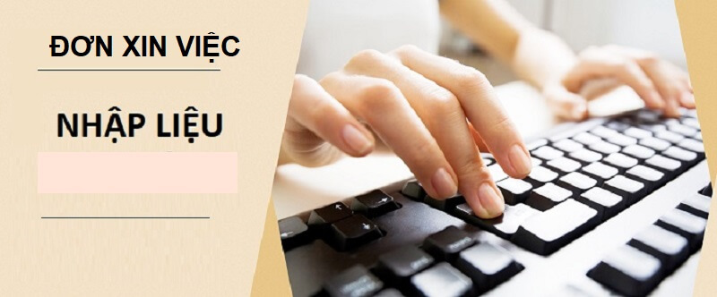 Bạn đã biết đơn xin việc nhập liệu cũng rất quan trọng chưa?