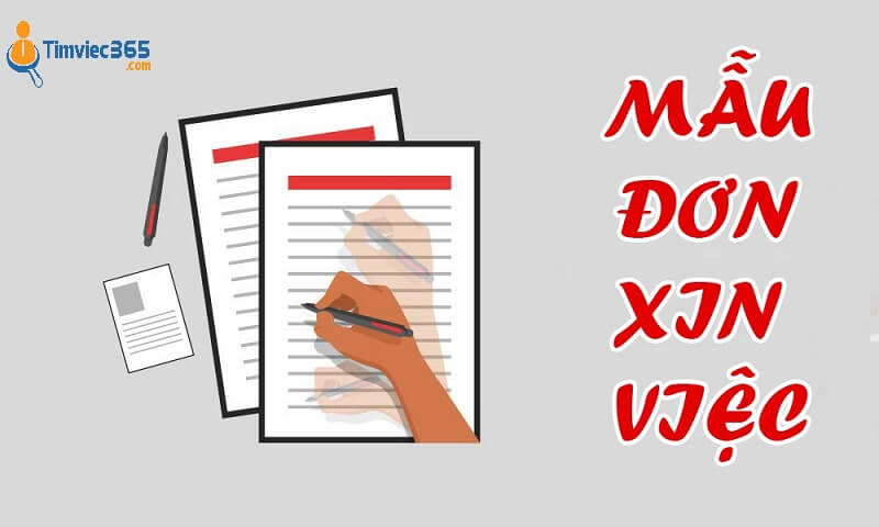 Tầm quan trọng của đơn xin việc tiếng Việt