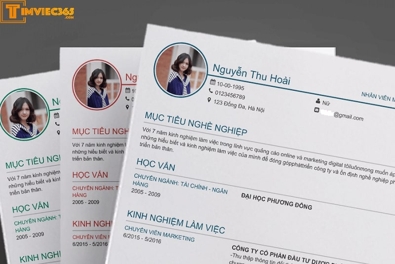 Gợi ý một số mẫu câu khi viết Objective - Mục tiêu nghề nghiệp trong CV xin việc tiếng Anh